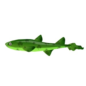 Green Irish Baby Cat Shark